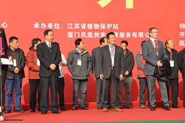 克勝集團(tuán) 引領(lǐng)航空信息咨詢(xún)新紀(jì)元